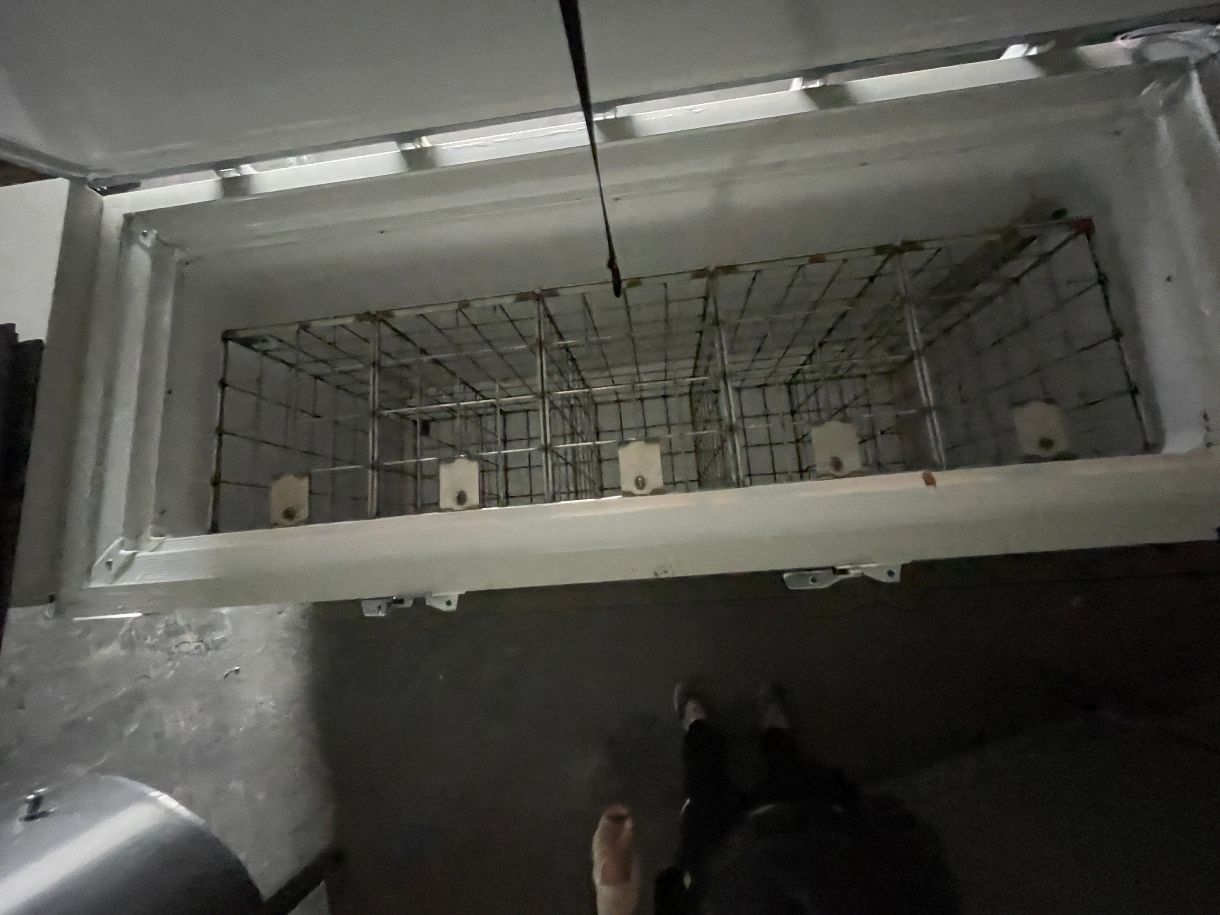 -80°F Thermo Freezer