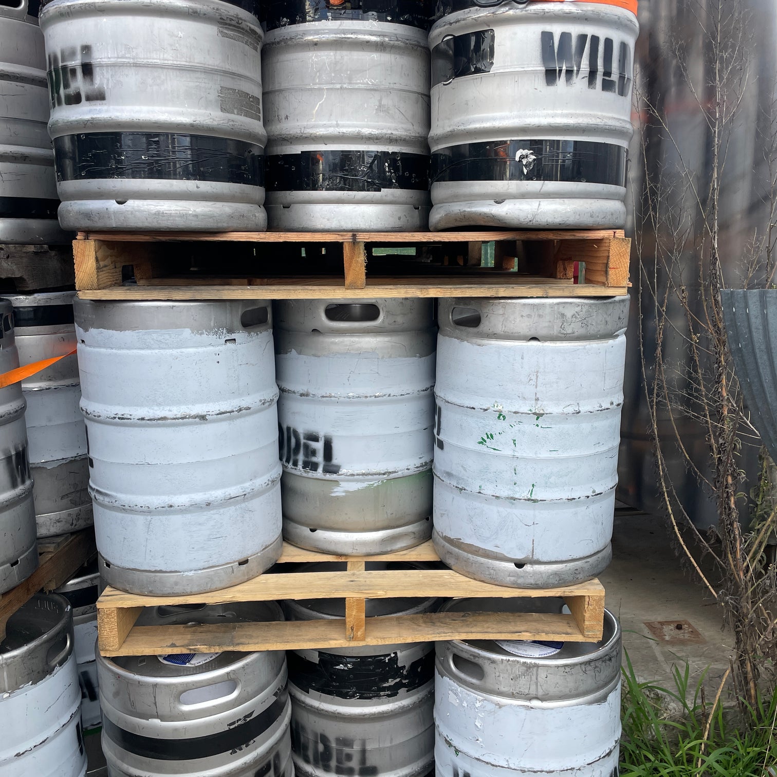 1/2bbl Kegs