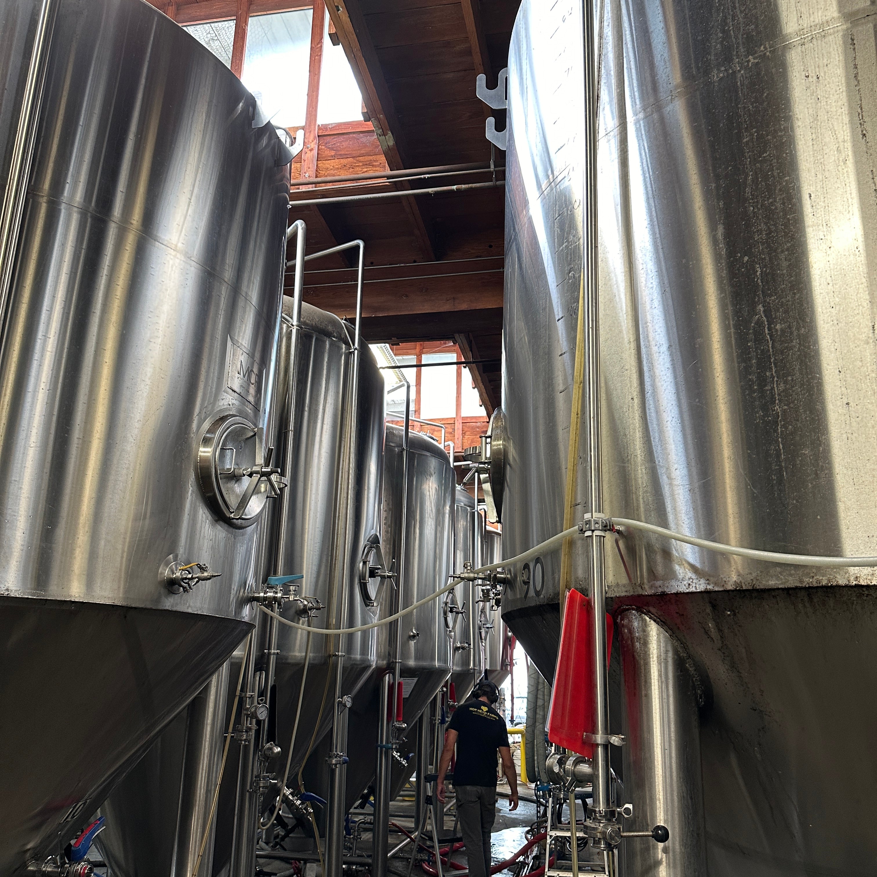 90bbl Fermenters