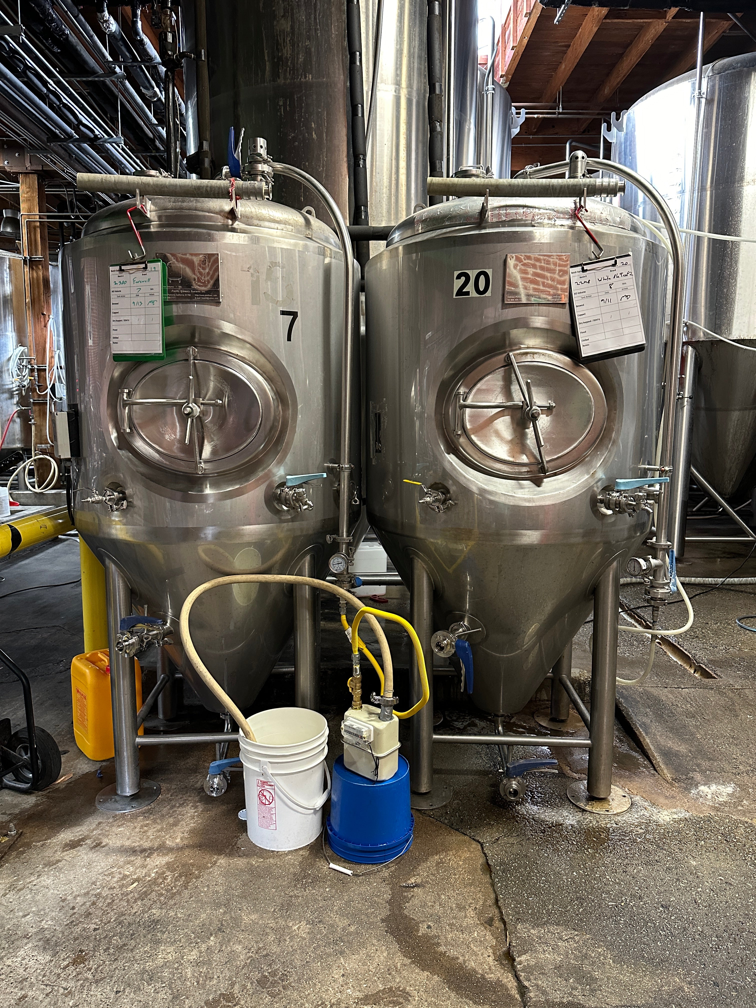 7bbl Fermenters*