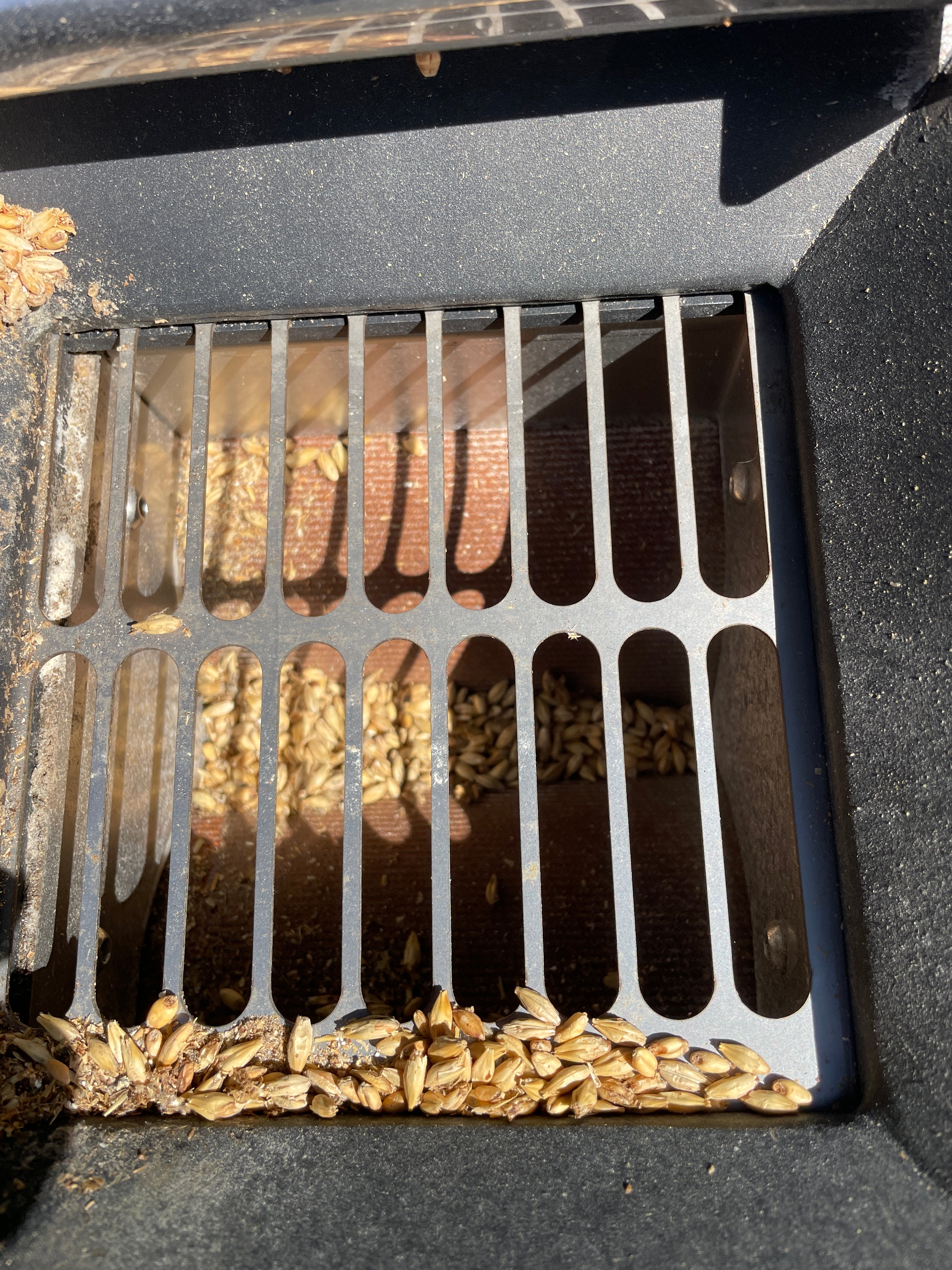 Alpha Grain Mill