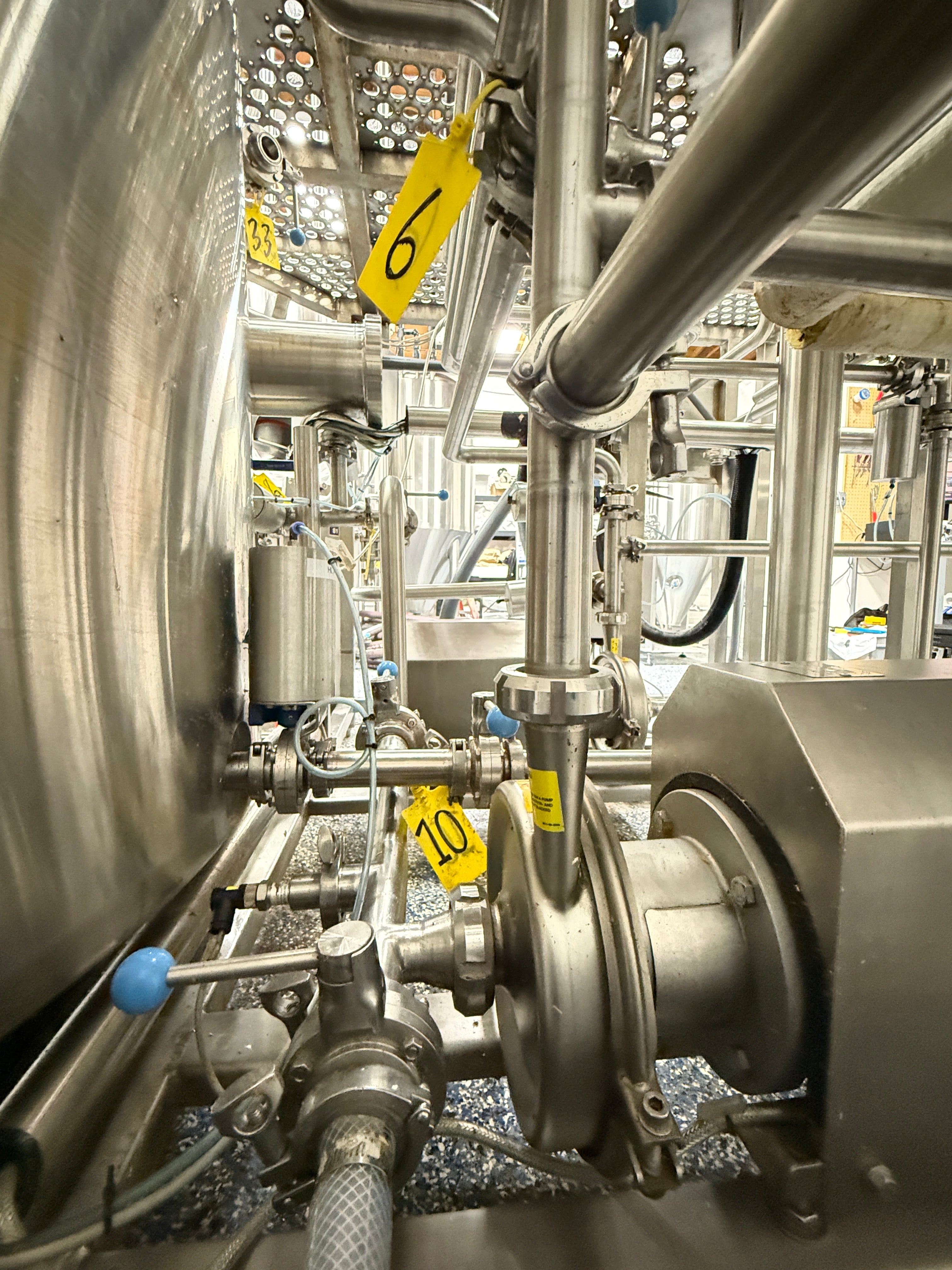 7bbl Steam Brewhouse