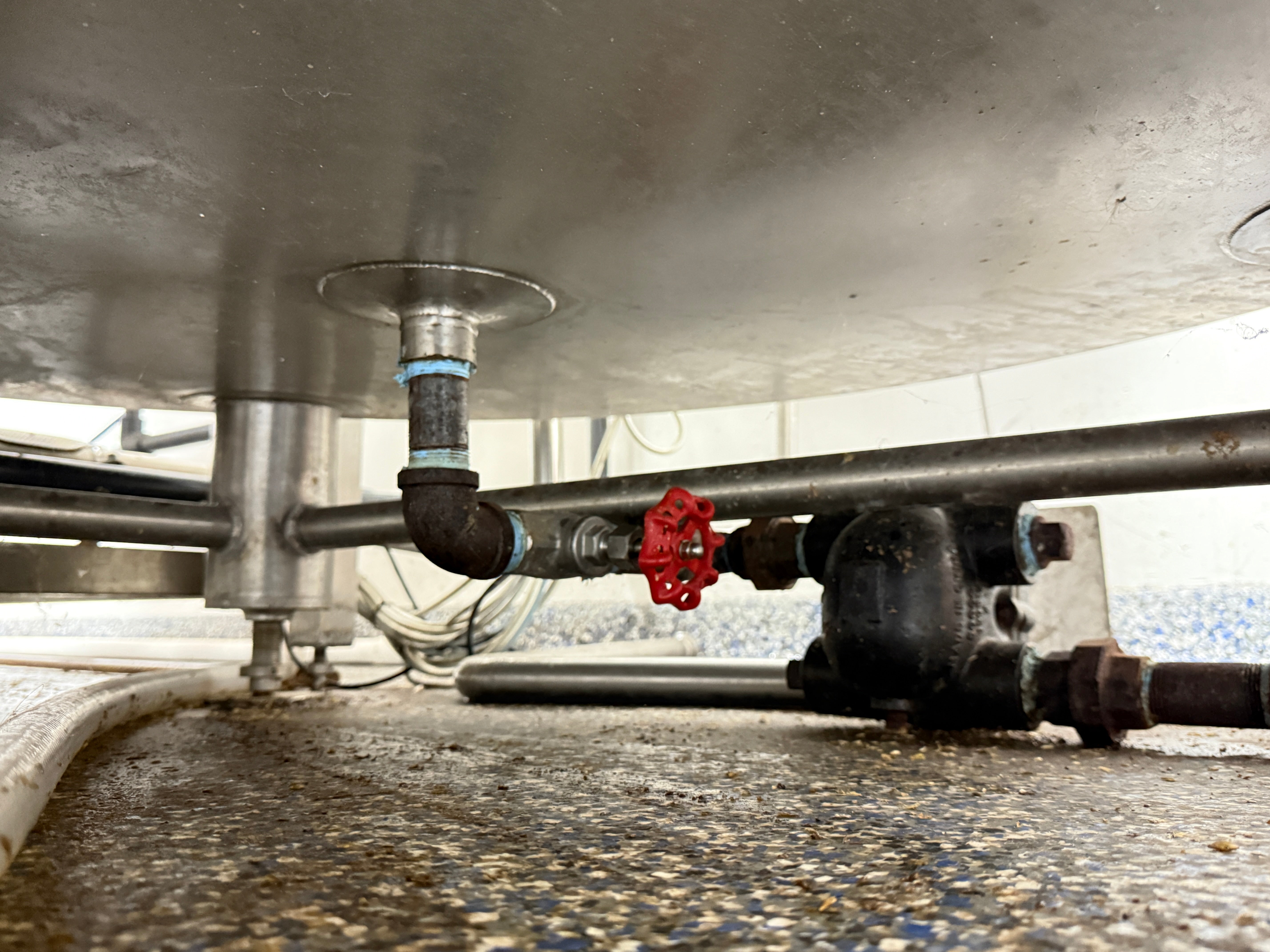 7bbl Steam Brewhouse