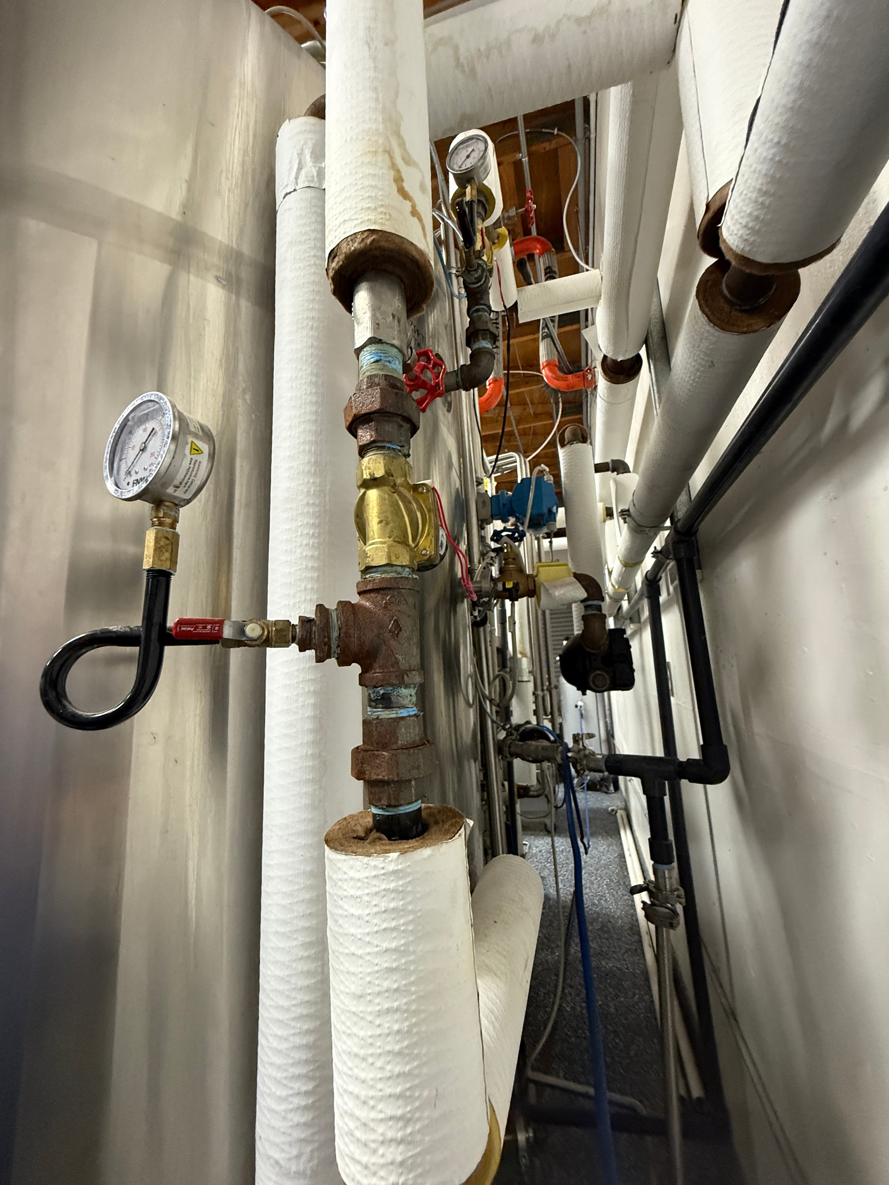 7bbl Steam Brewhouse