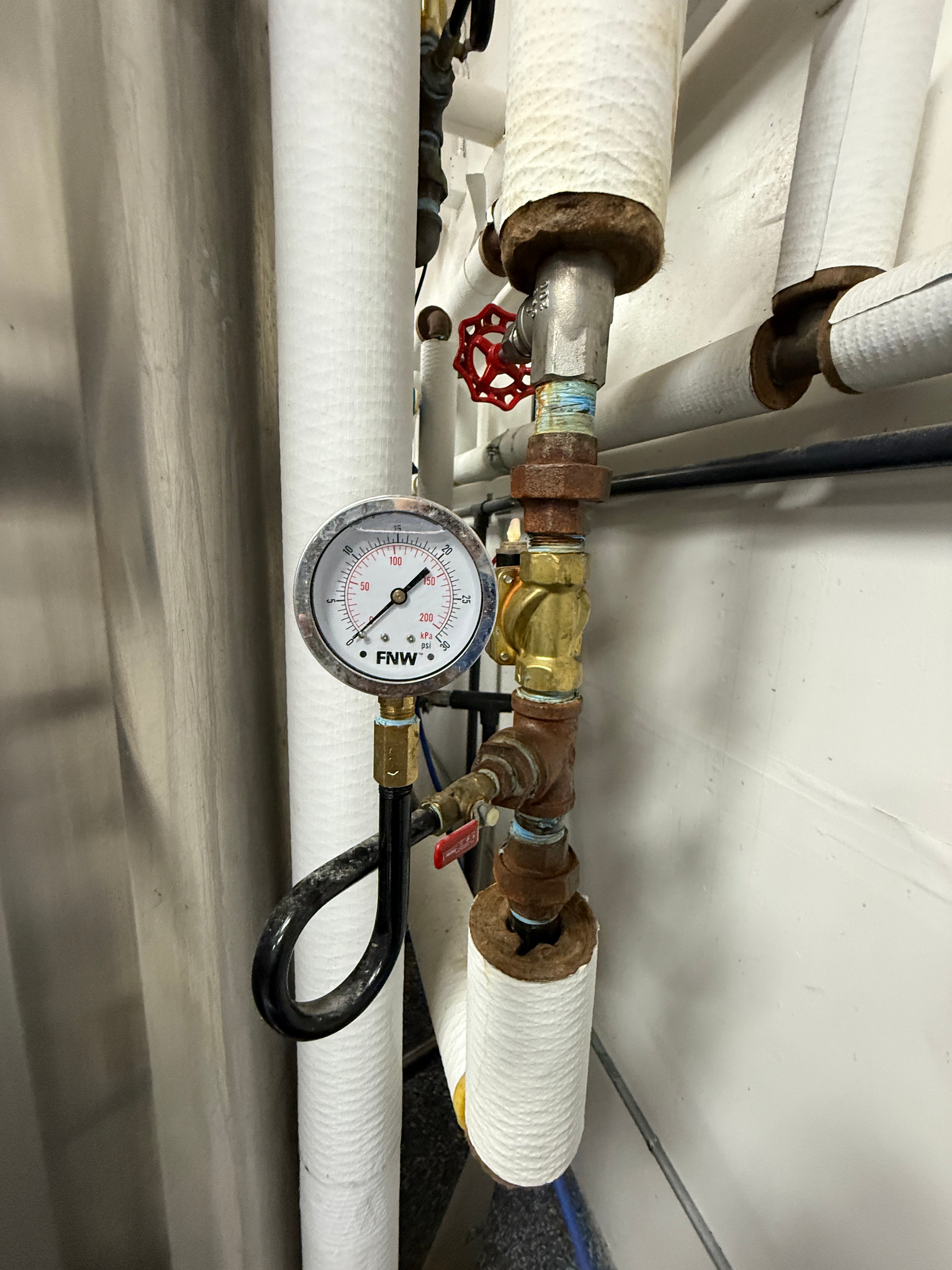 7bbl Steam Brewhouse