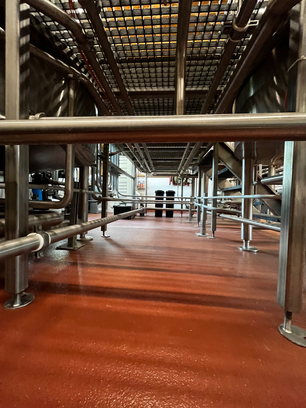10bbl Steam Brewhouse w/ HLT & CLT