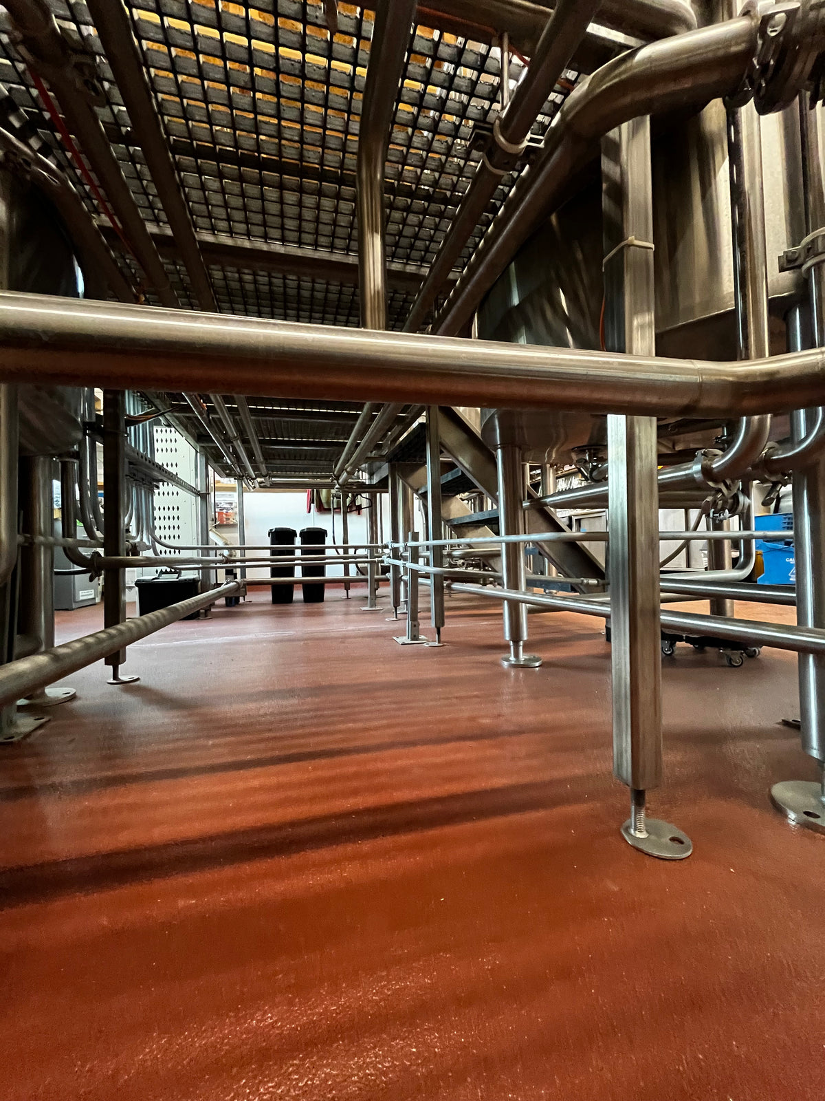 10bbl Steam Brewhouse w/ HLT & CLT