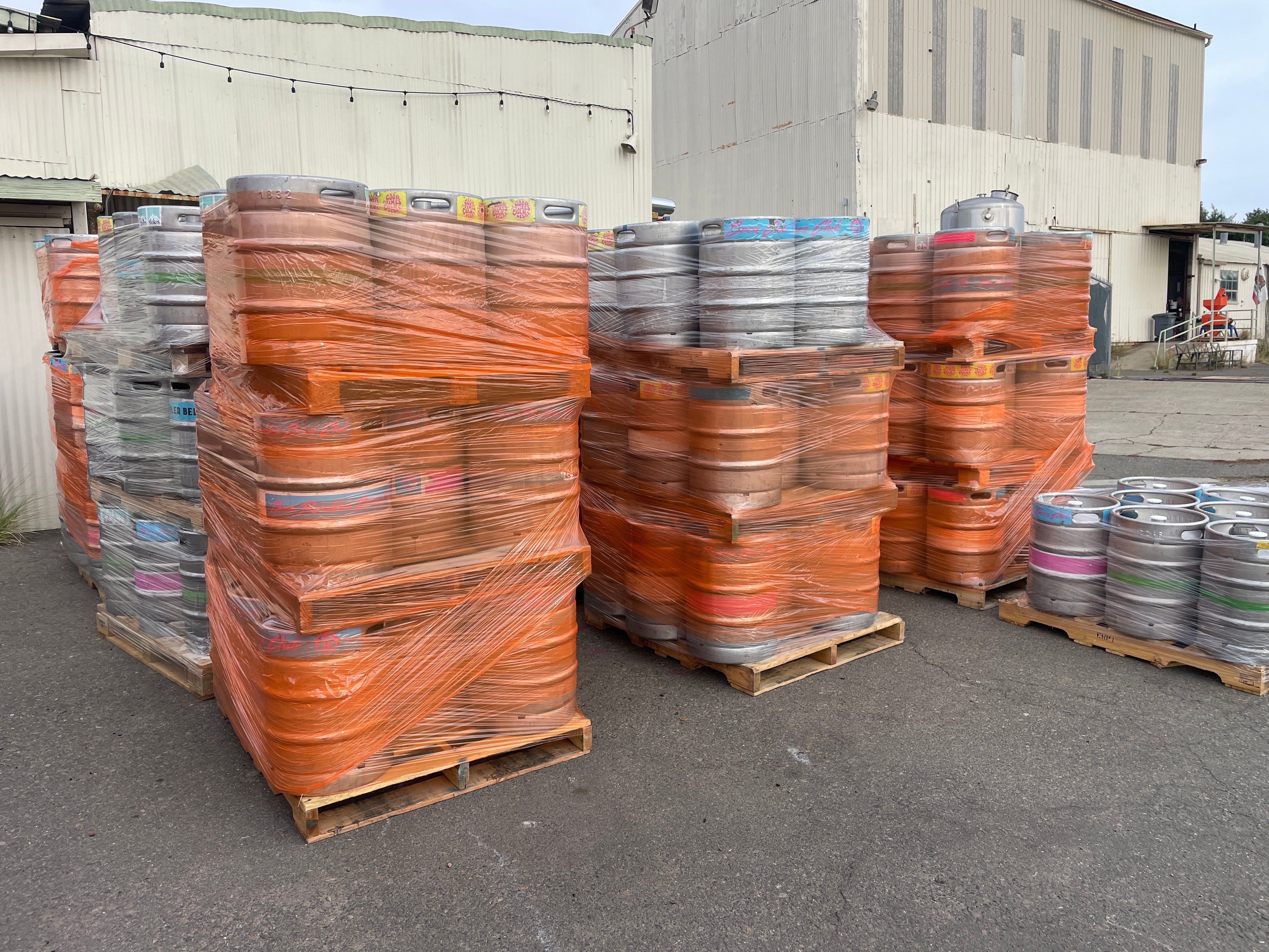 50L Kegs