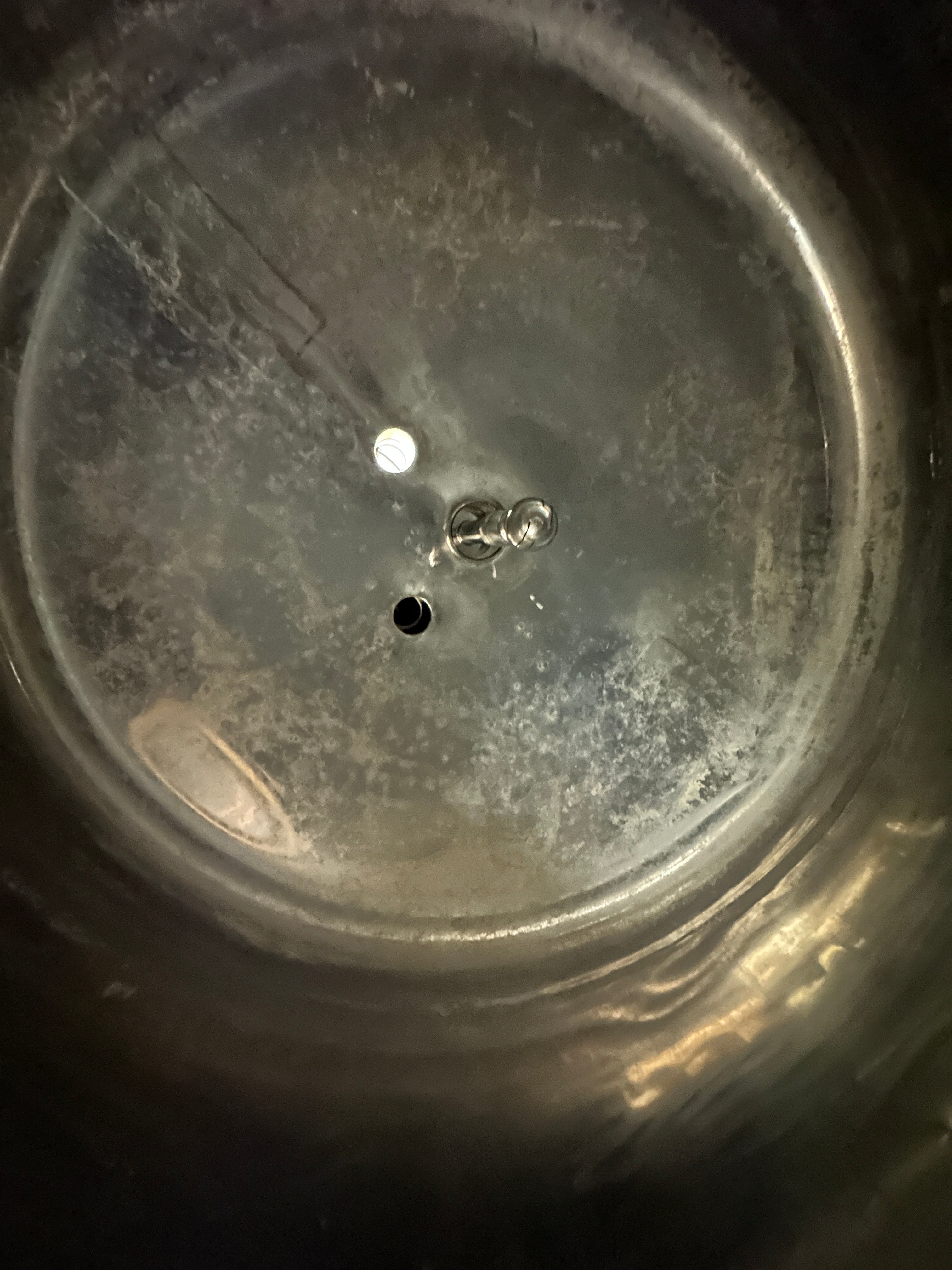 7bbl Fermenter