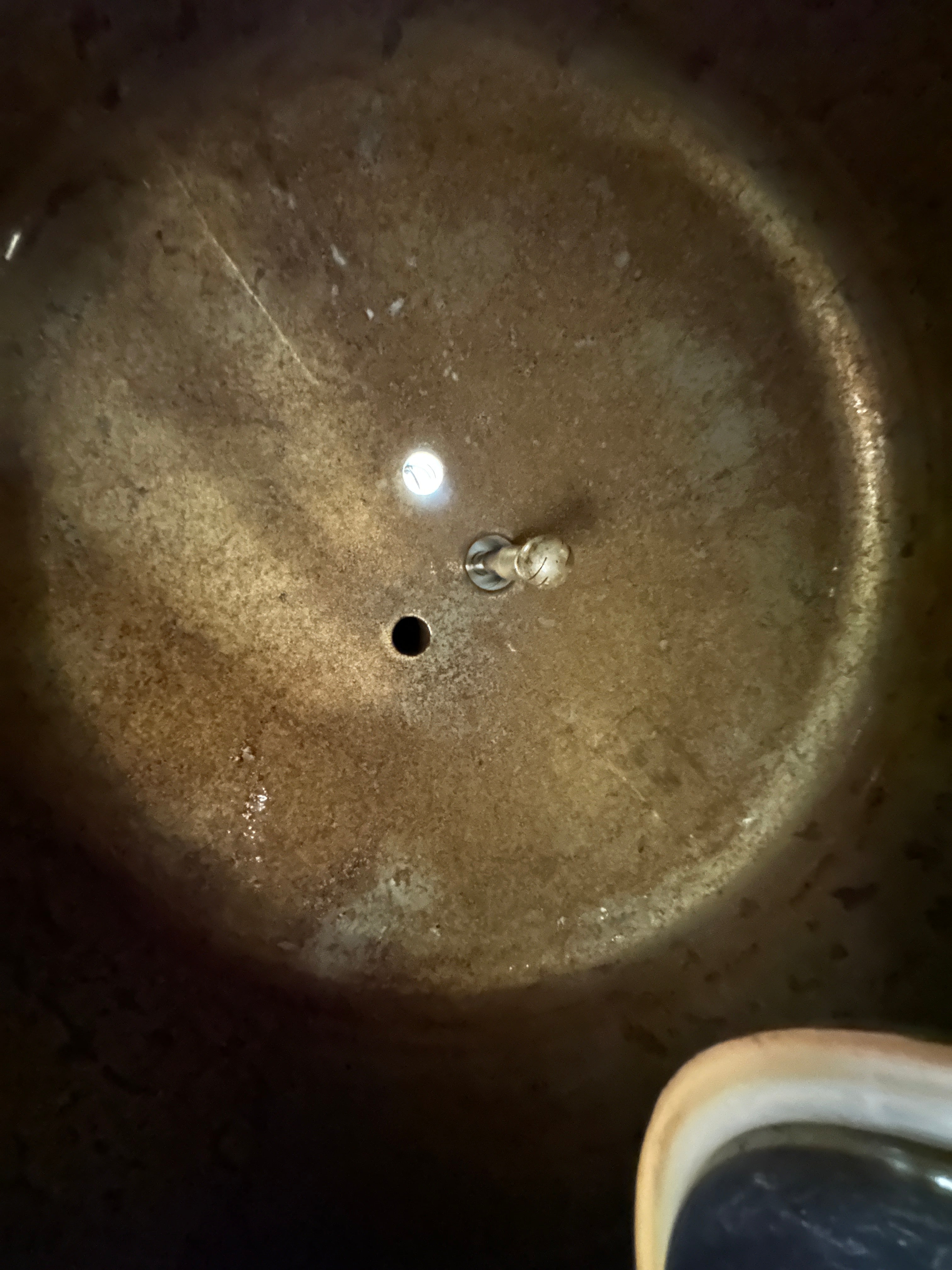 7bbl Fermenter