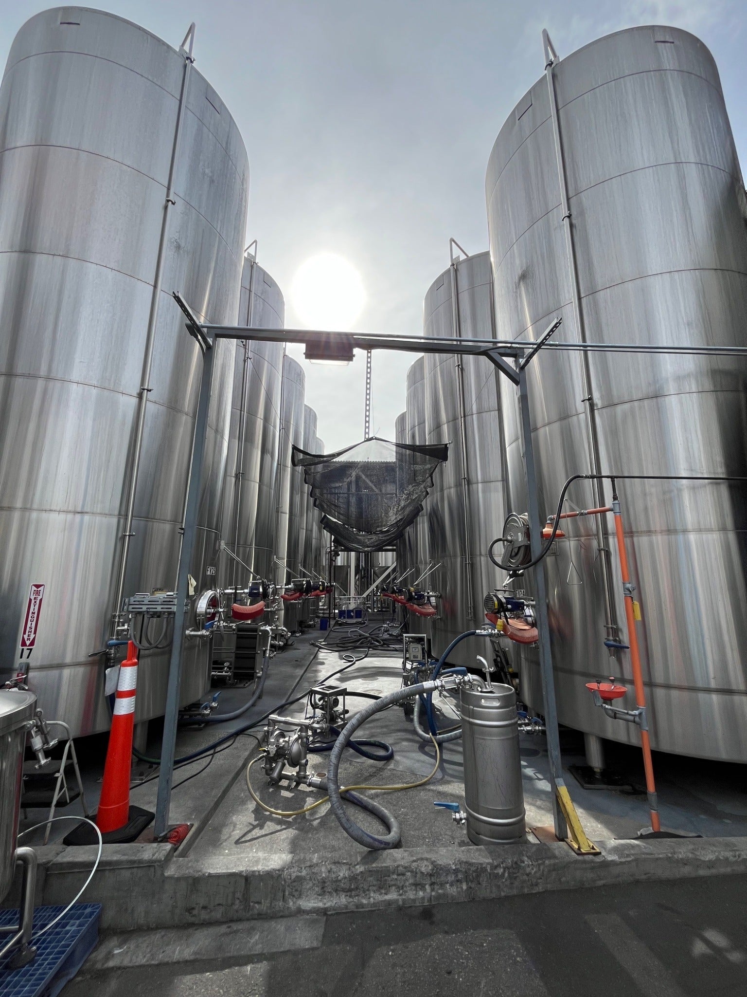 300bbl Fermenters